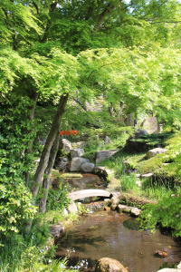 �X���C���[�W