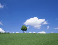 �������߃C���[�W